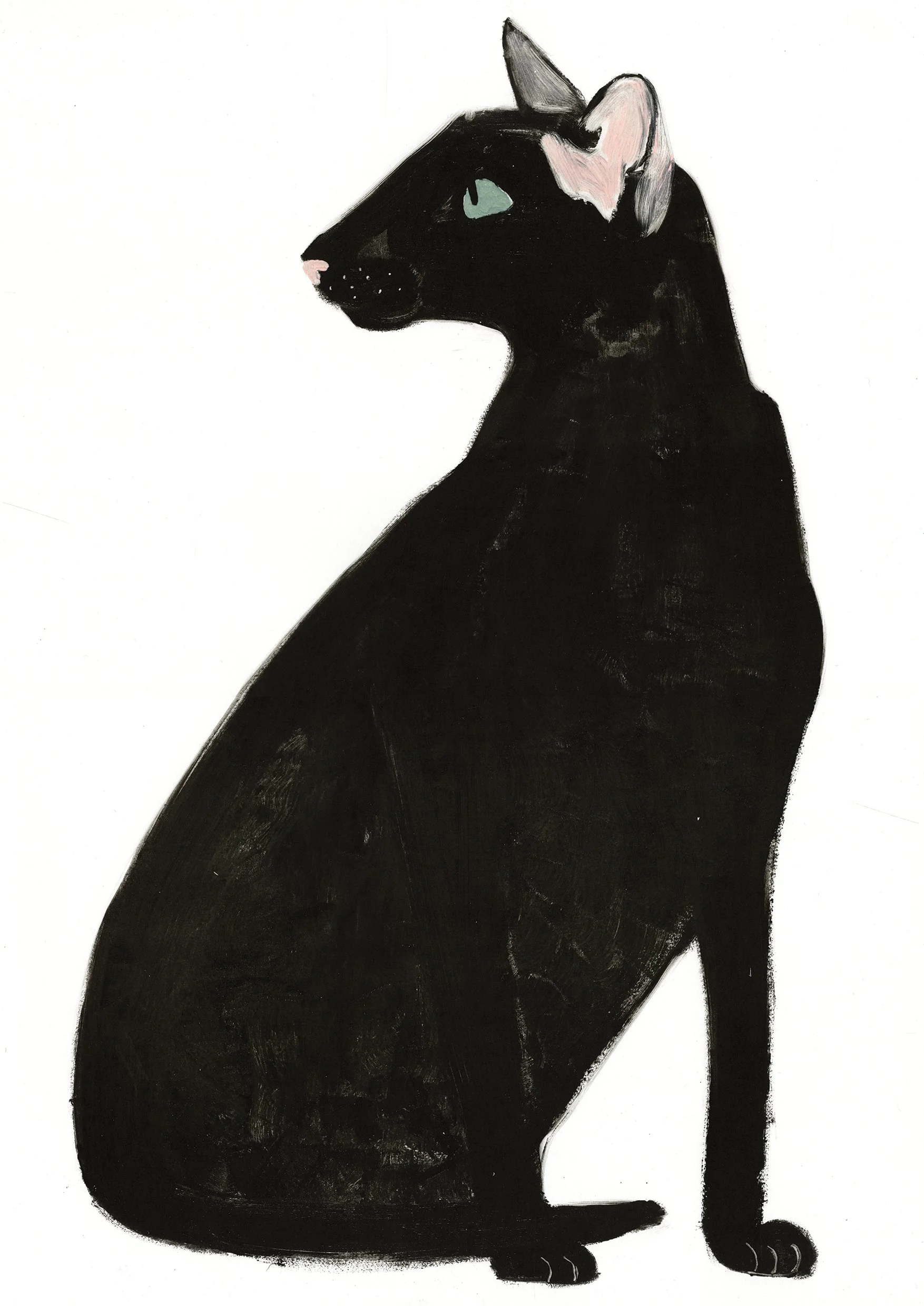 Oriental-Shorthair-A3.jpg