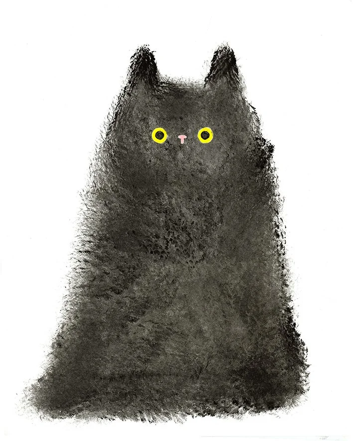 Fluffy-Black-Cat.jpg