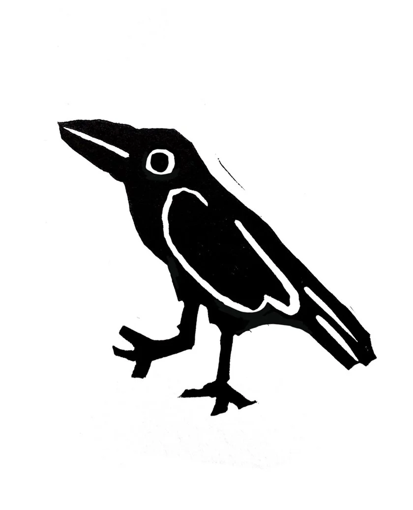 Crow1.jpg