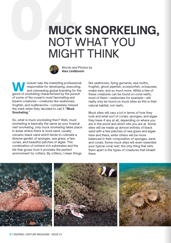 Snorkel Venture Magazine Muck.png