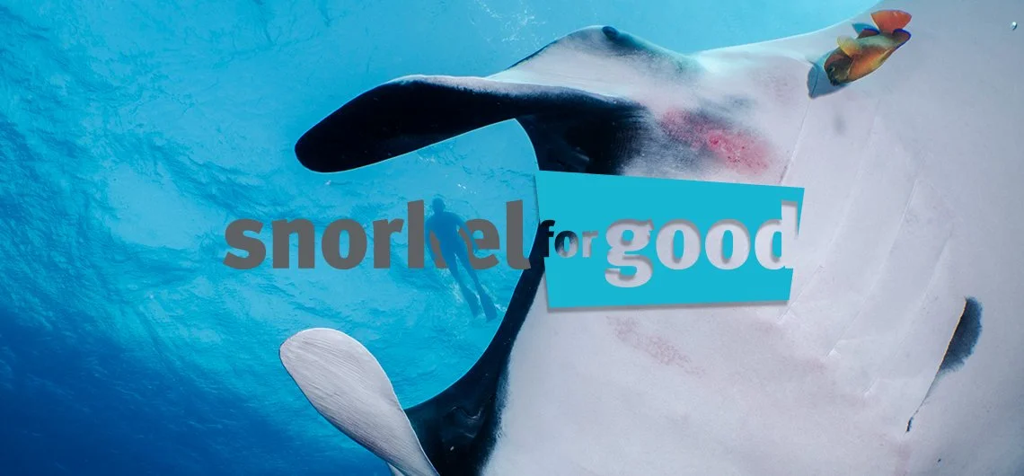 Snorkel For Good in 2025