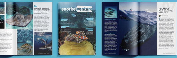 Snorkel Venture Magazine Issue II - Get your Copy!