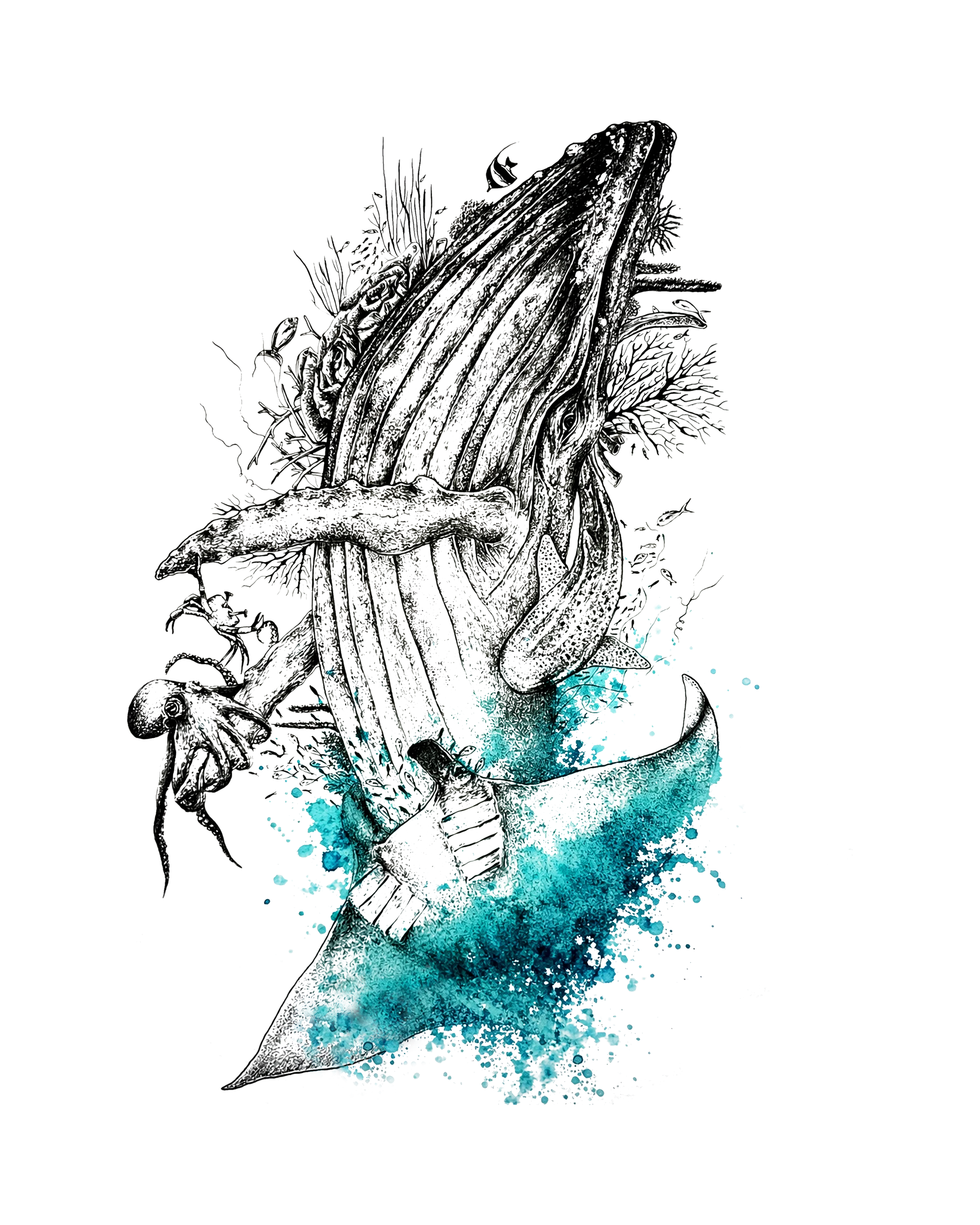 Whale Graphic_Transparent.webp