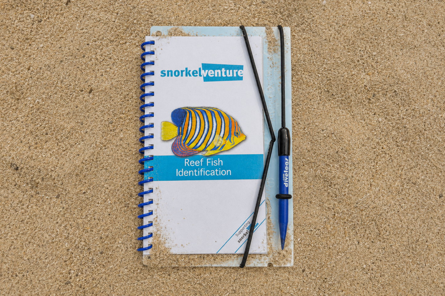 SV+Fish+ID+Slate_Front.png