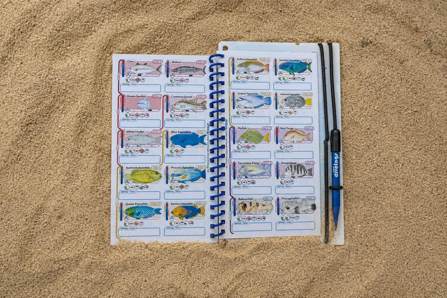 Caribbean Fish ID.webp