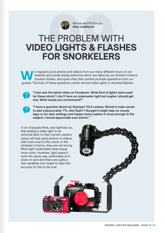 Snorkel Venture Magazine Lights.png