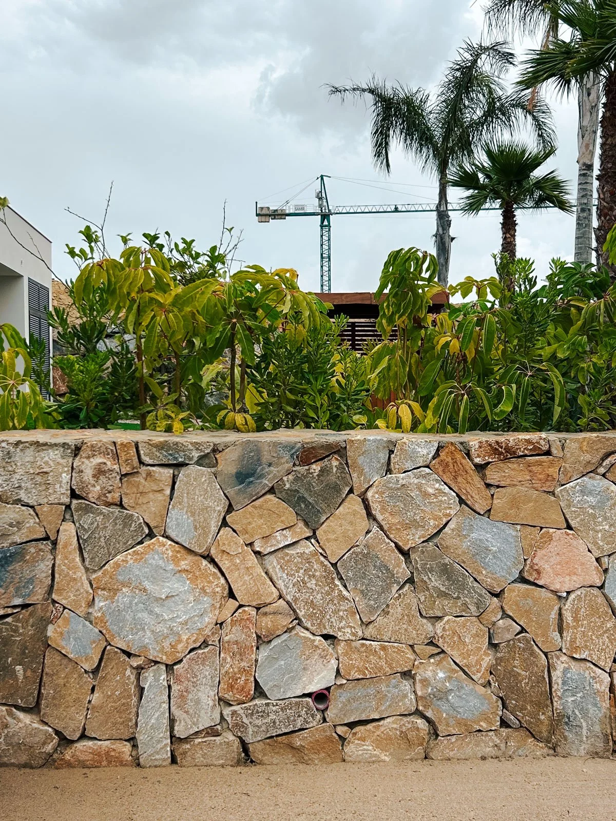 Muro de piedras, plantas verdes, palmeras, grúa de construcción y cielo nublado.