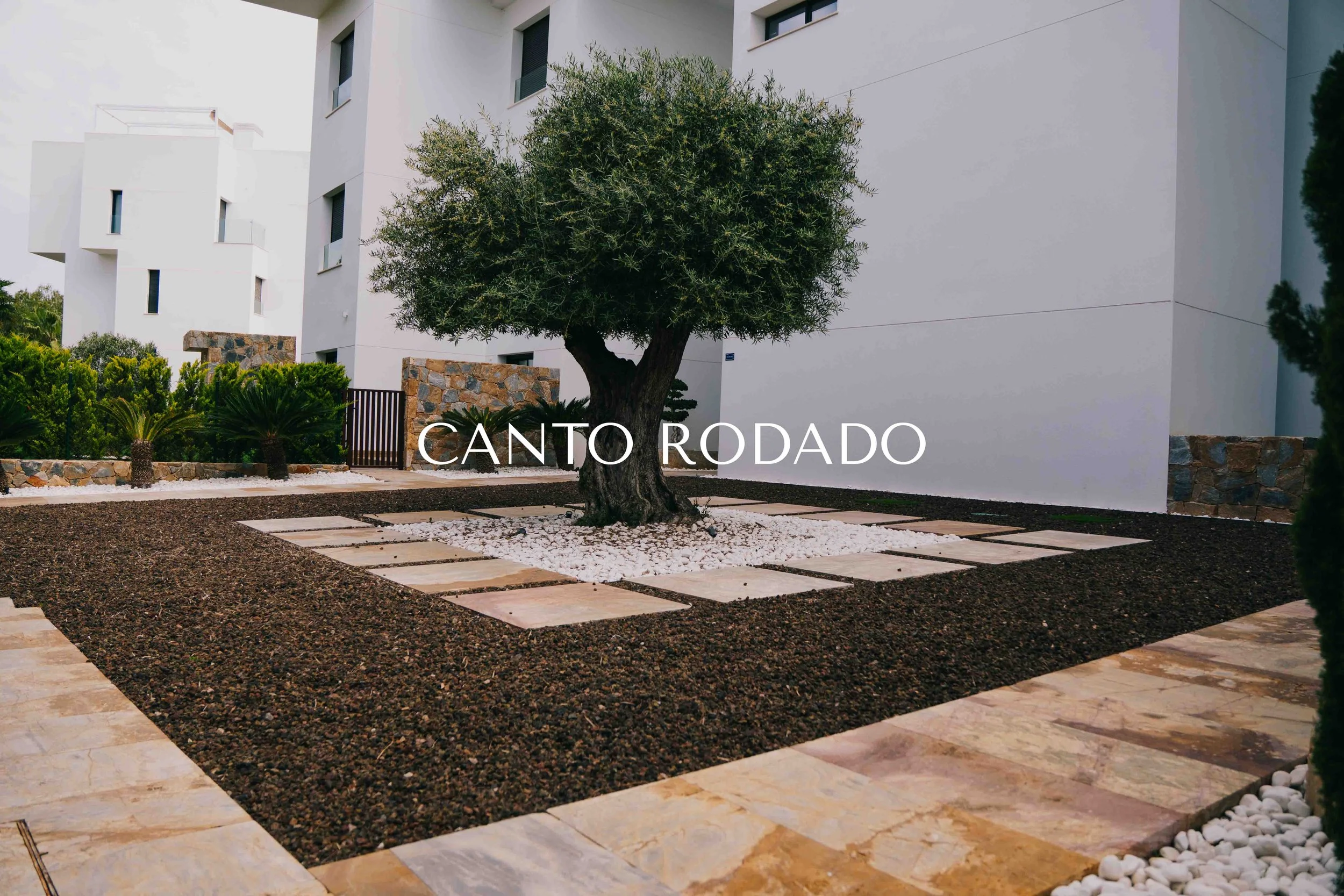 Jardín con árbol, bordes de piedra y piso de piedra y tierra en un ambiente exterior