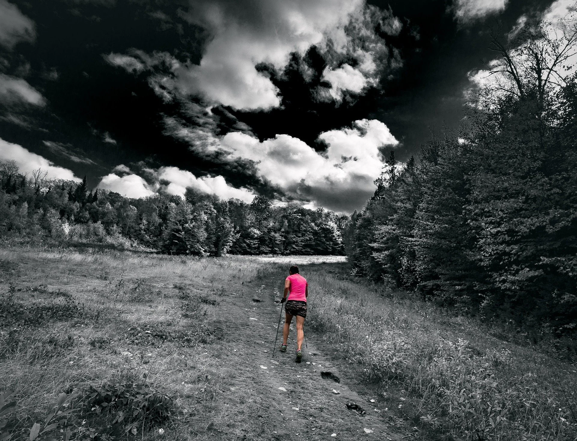 A person wearing a pink shirt and black shorts hiking in a black-and-white forested landscape with a cloudy sky.
