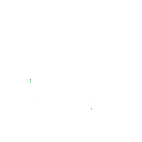 THE INTERIM PROPERTY CONSULTANCY