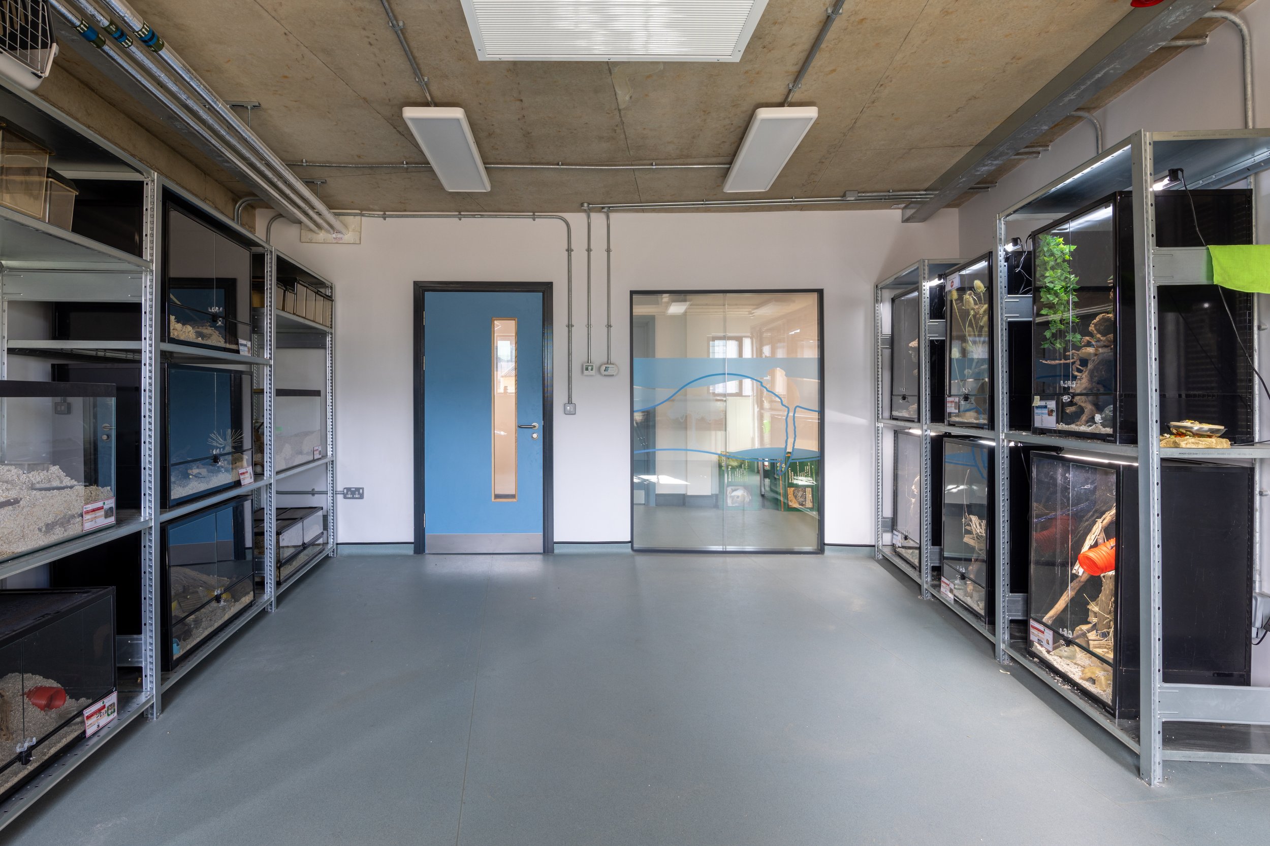 Animal Management Centre Grimsby-Altro Suprema-Altro Whiterock White-03.jpg