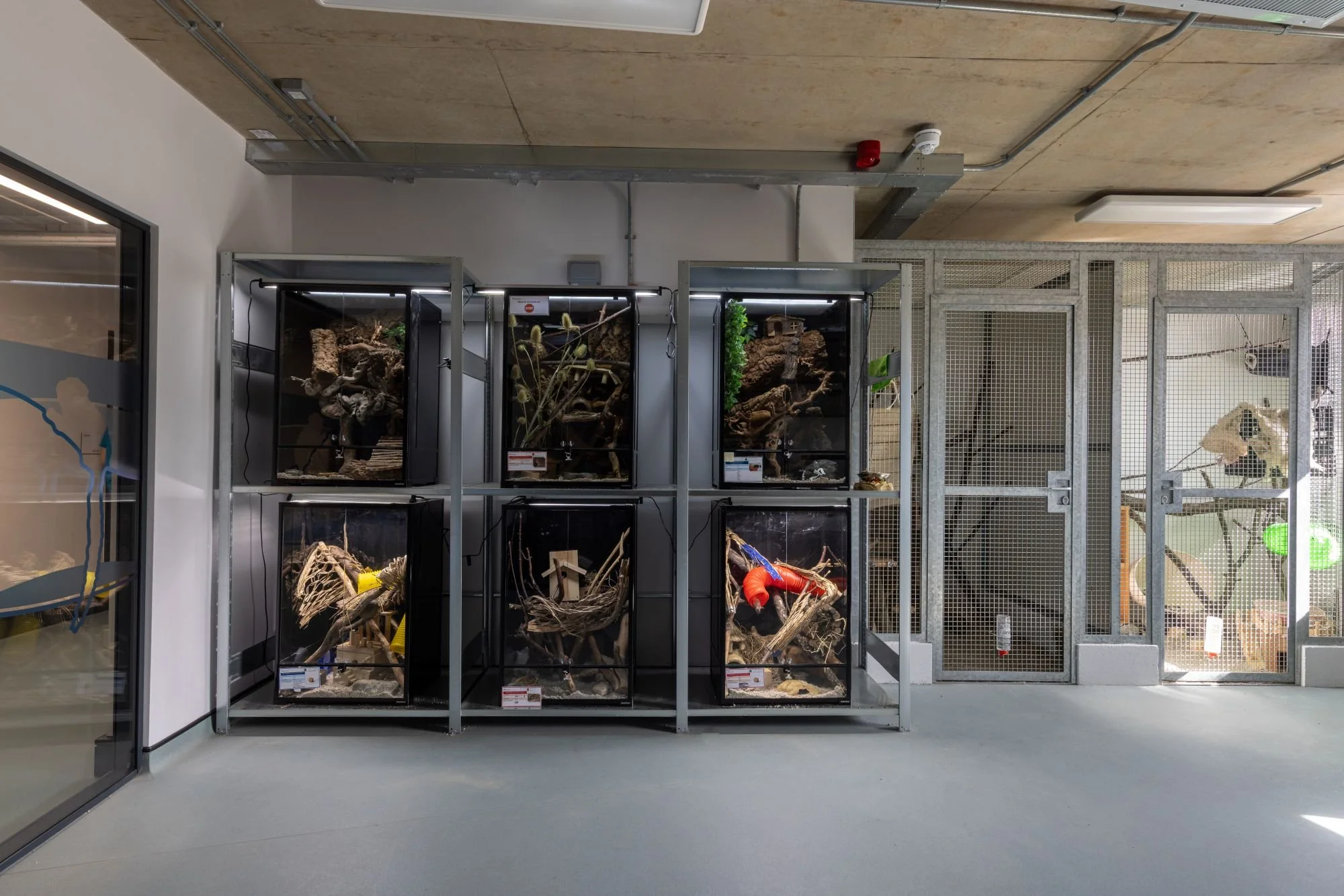 Animal Management Centre Grimsby-Altro Suprema-Altro Whiterock White a1.jpg