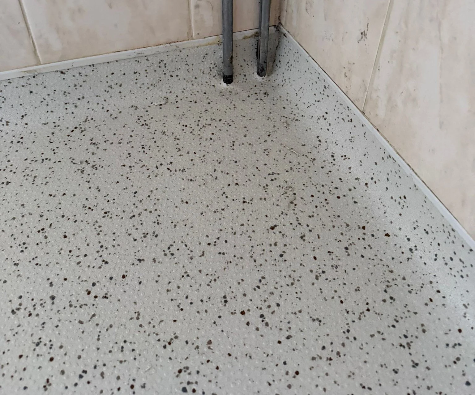 Grimsby Wet room - Polyflor Hydro Amazon - 4.jpeg