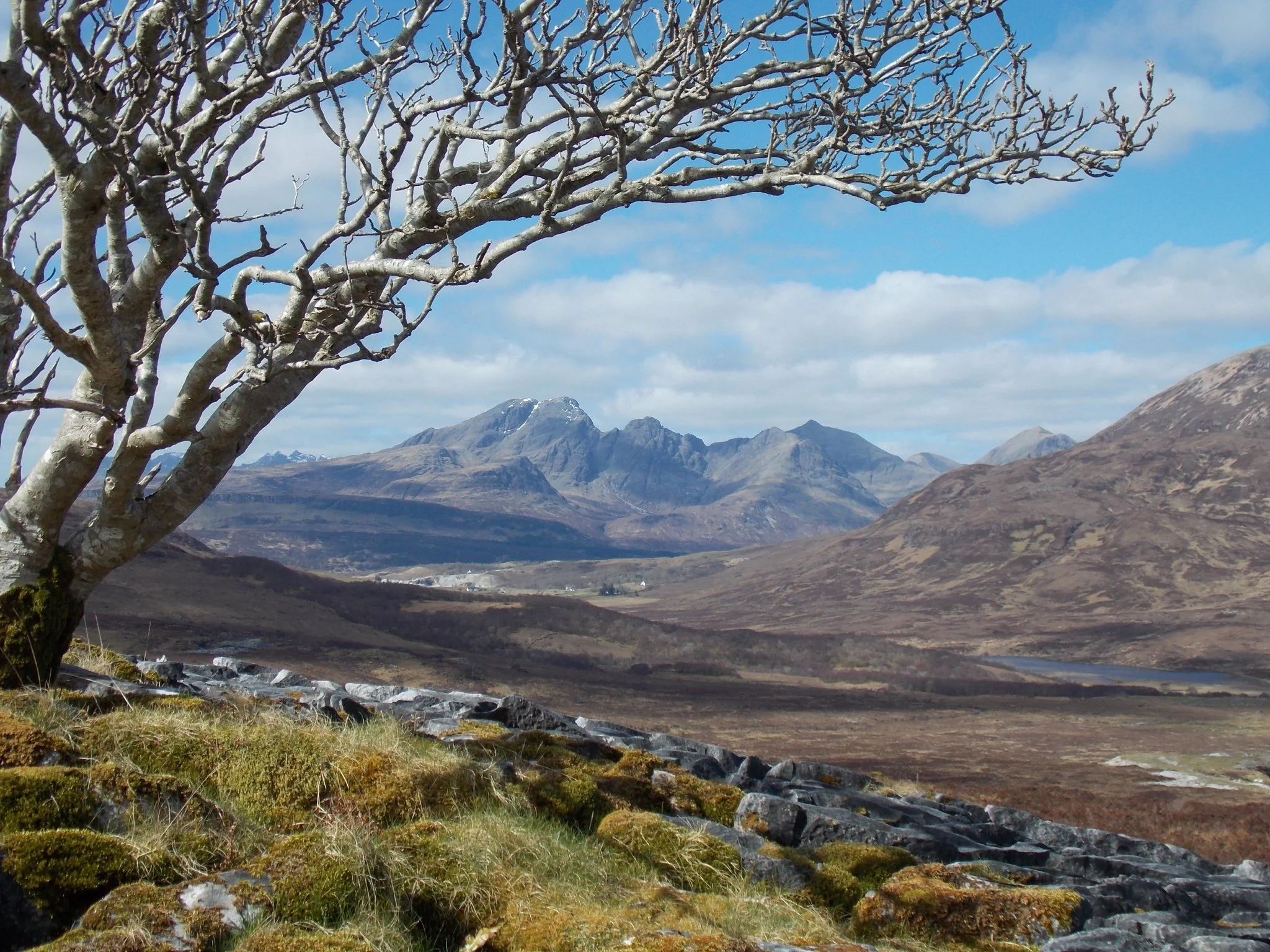Isle of Skye, Scotland. A leafless tree with gnarled branches in the foreground, mountain peaks in the background under a partly cloudy sky, and patches of snow on the mountainsides.