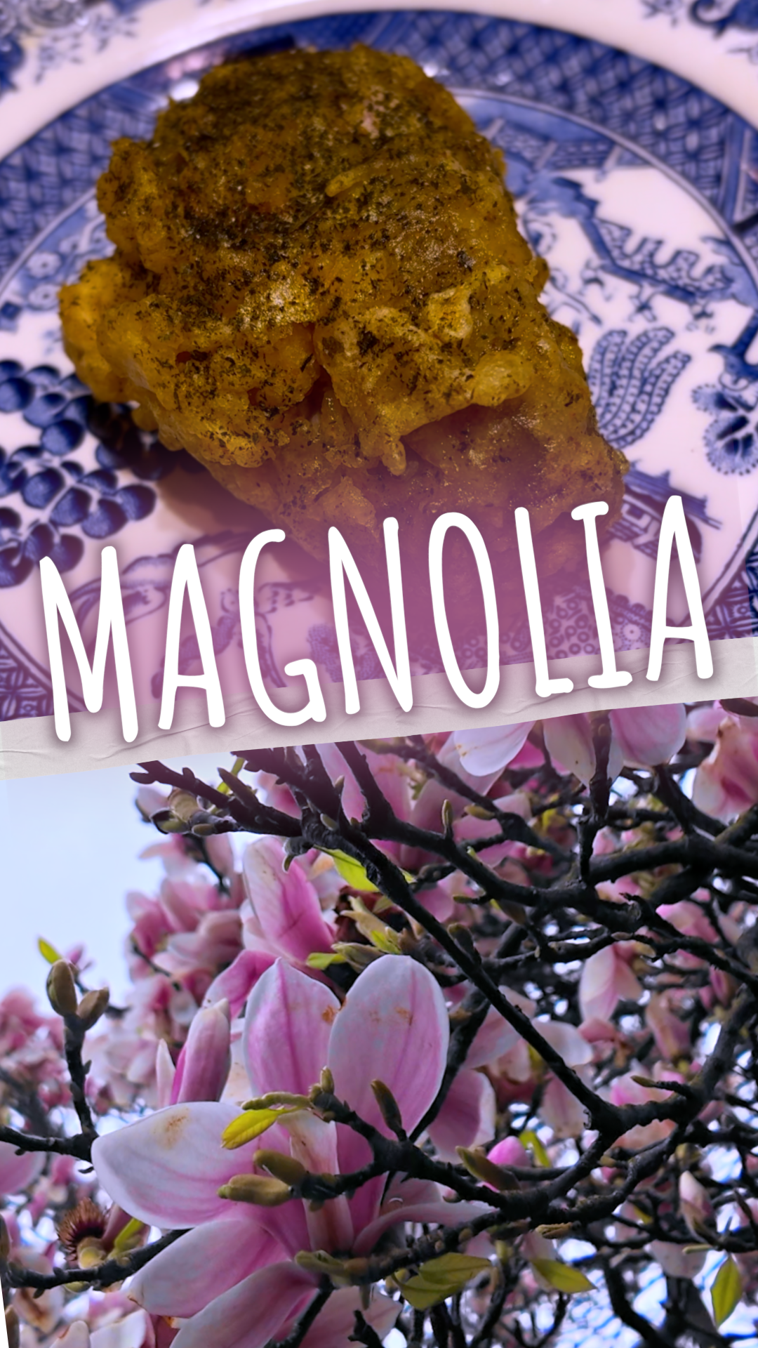 THUMBNAIL(4).png