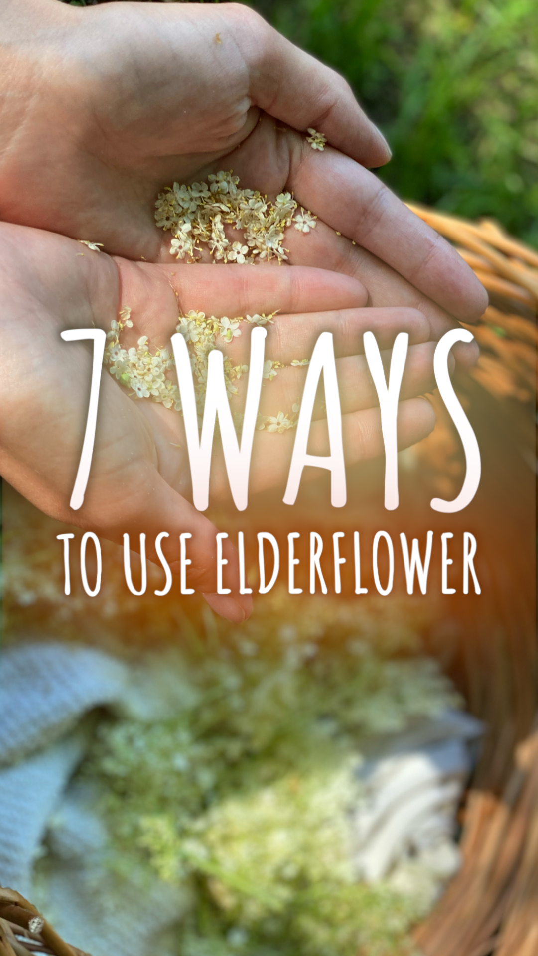 Close-up of a hand holding elderflower blossoms with a background of greenery and a wicker basket. Text overlay says "7 WAYS TO USE ELDERFLOWER."
