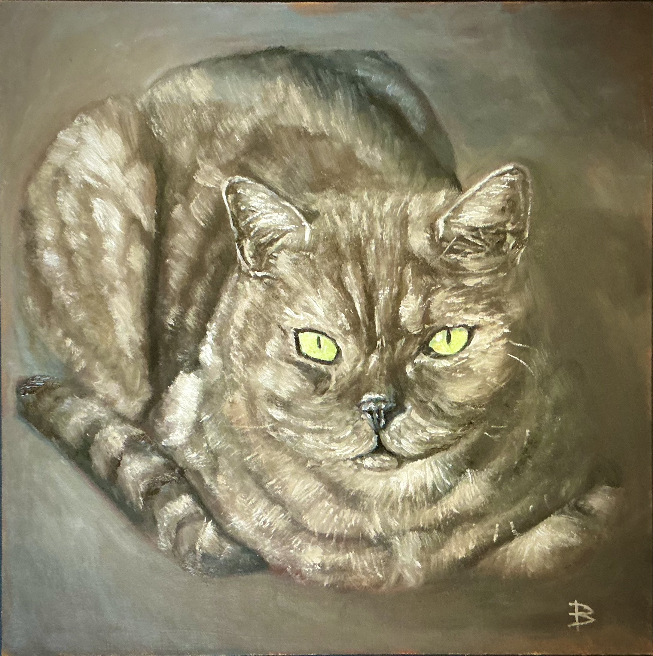 Cat staring competition, a tabby cat with amazing coloured eyes staring at the viewer. A friend companion.