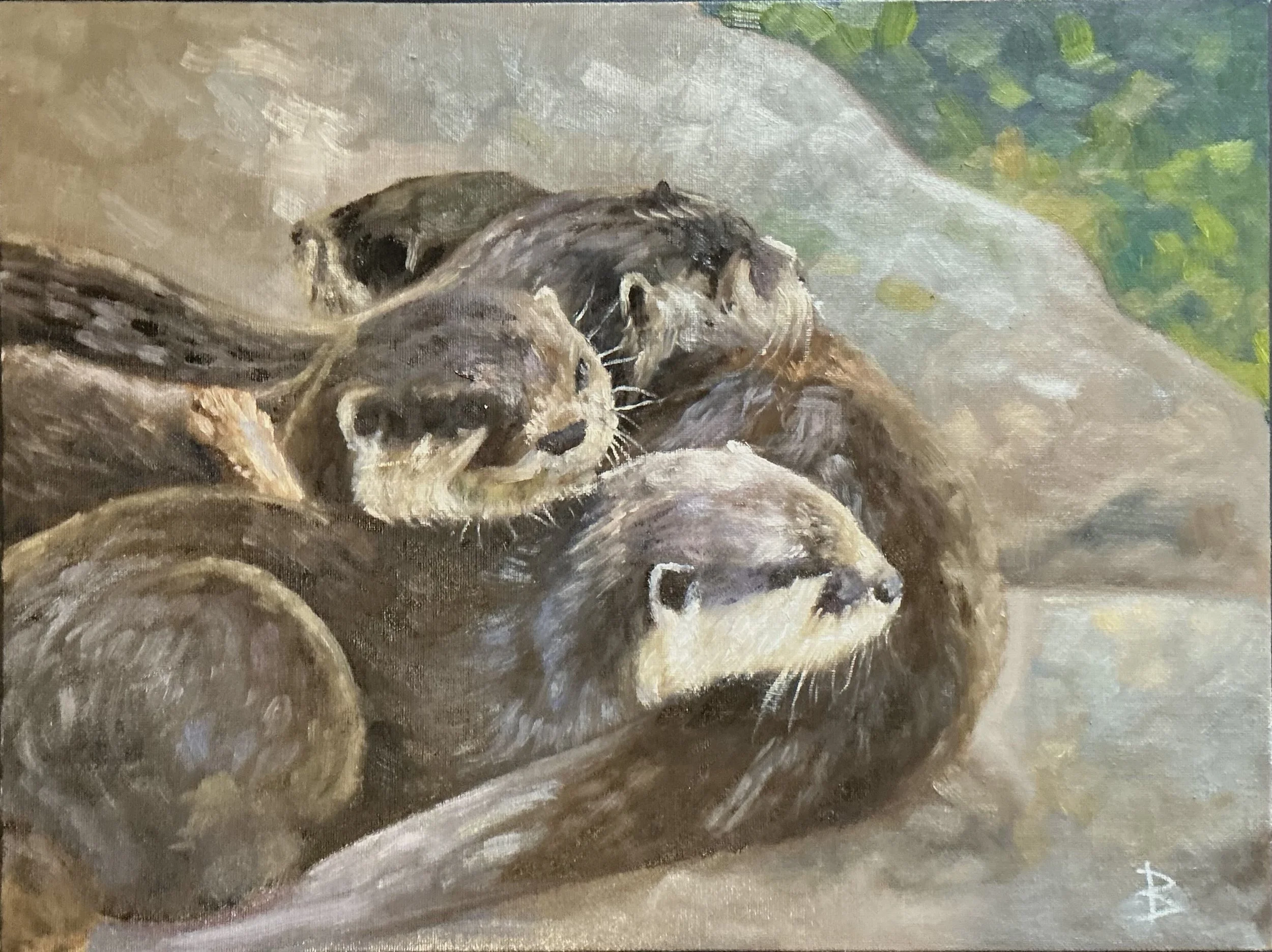 The Otter family, group of otters sunning themselves after a swim. Otters curling around each other in a tender way.