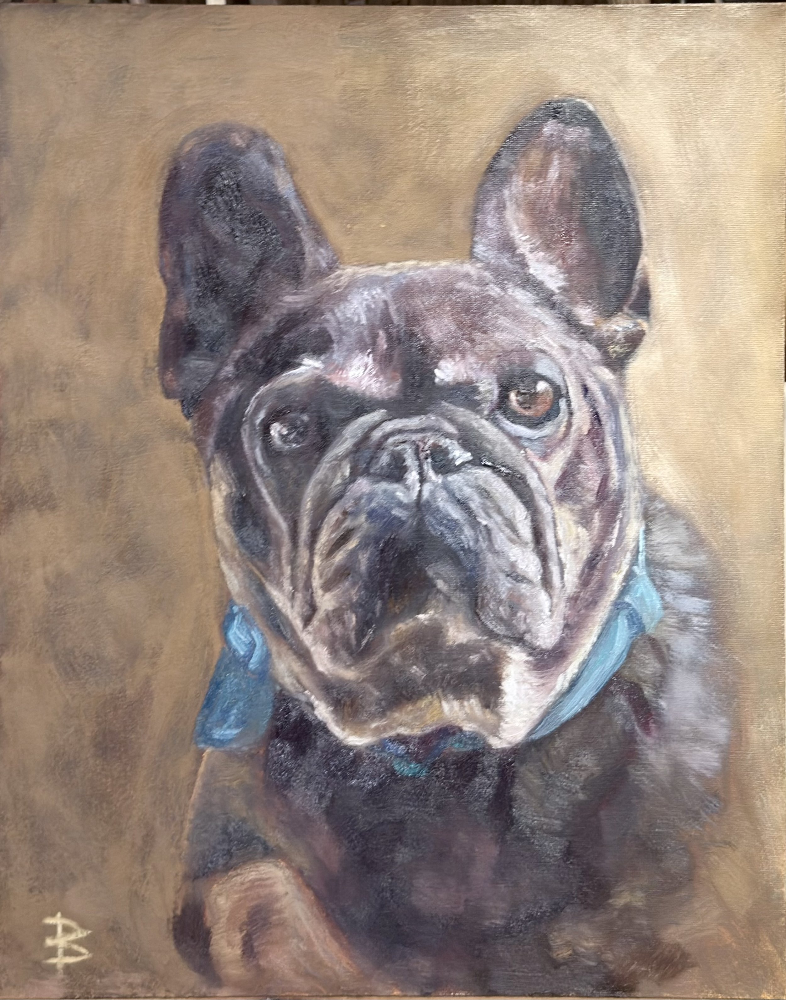 Bruno the Star of Old Portsmouth UK. One of my favourite dogs for a friend. Such a characterful face. The dog is so chilled.