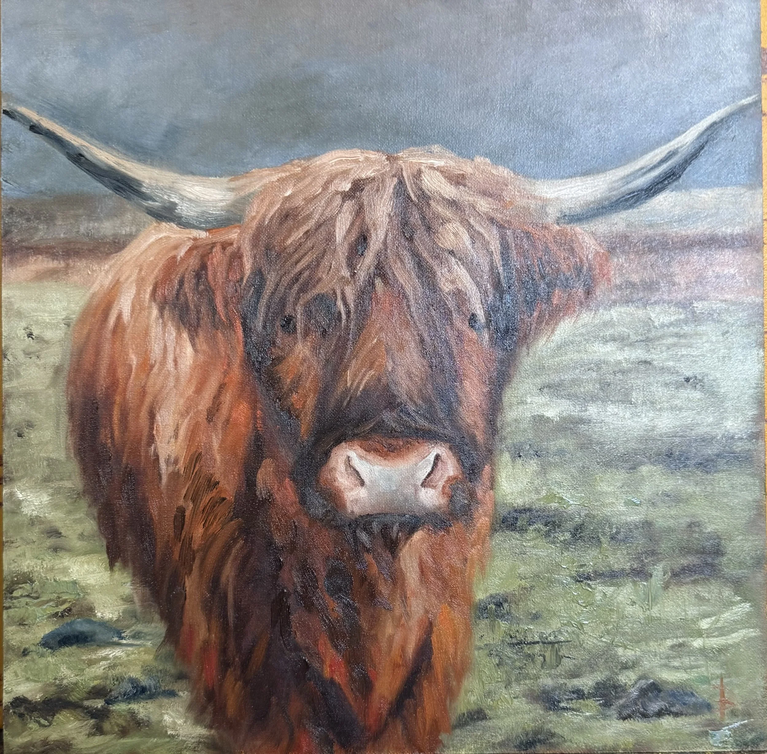 Highland Cow