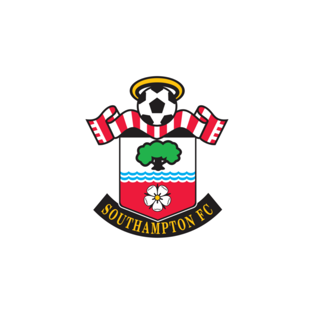 Southampton FC crest featuring a soccer ball with a halo, a red and white striped scarf, a tree, ocean waves, a white flower, and black banner with yellow text.