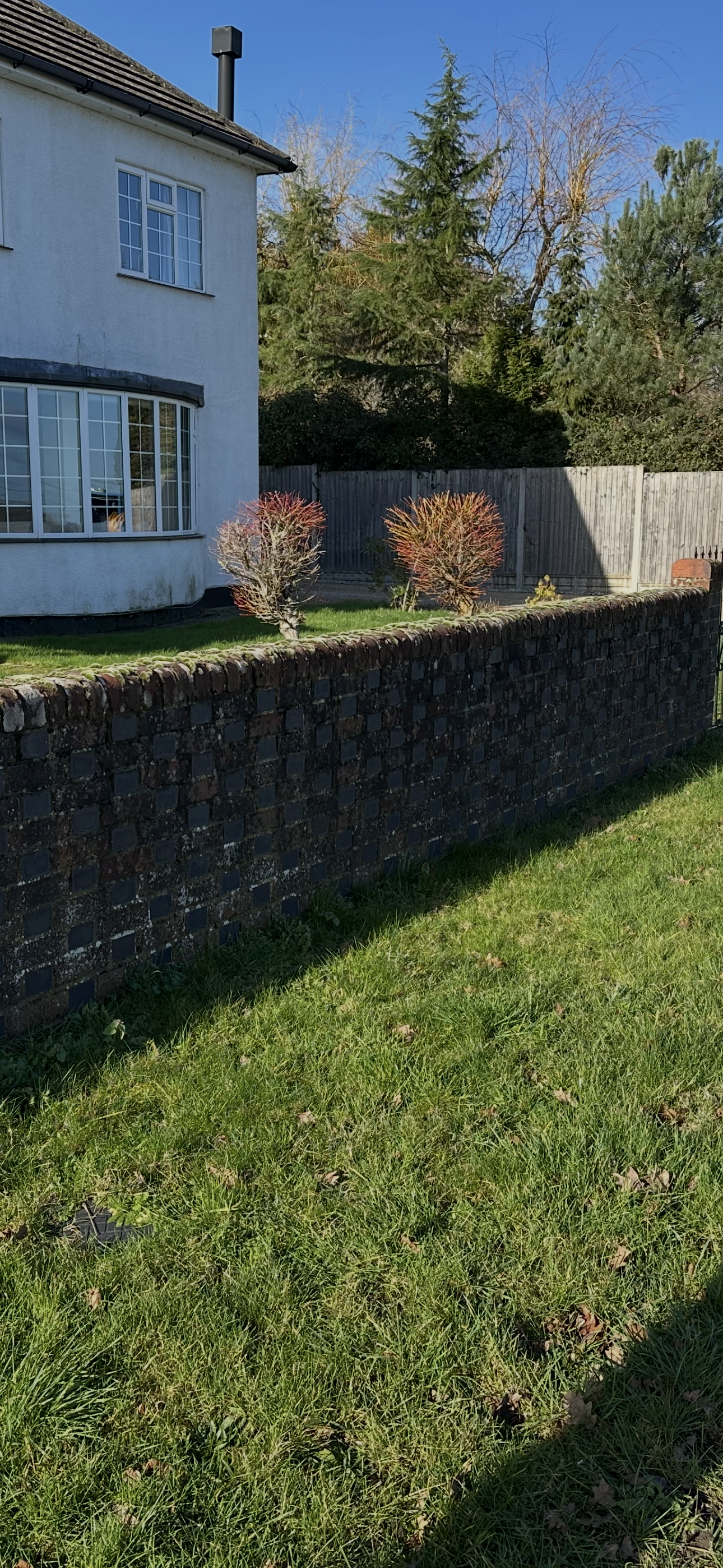 Before photo of a brick wall covered in years of moss, dirt and algae