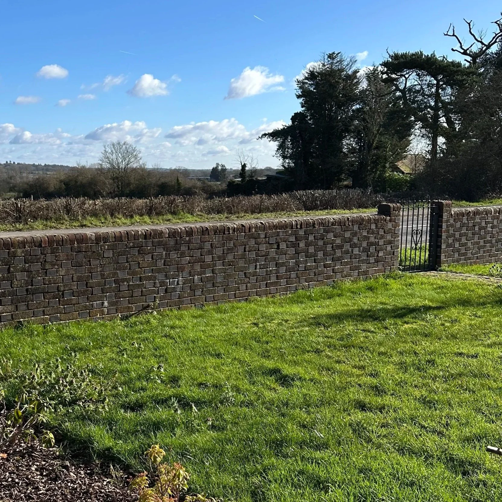 Clean brick wall after soft washing.