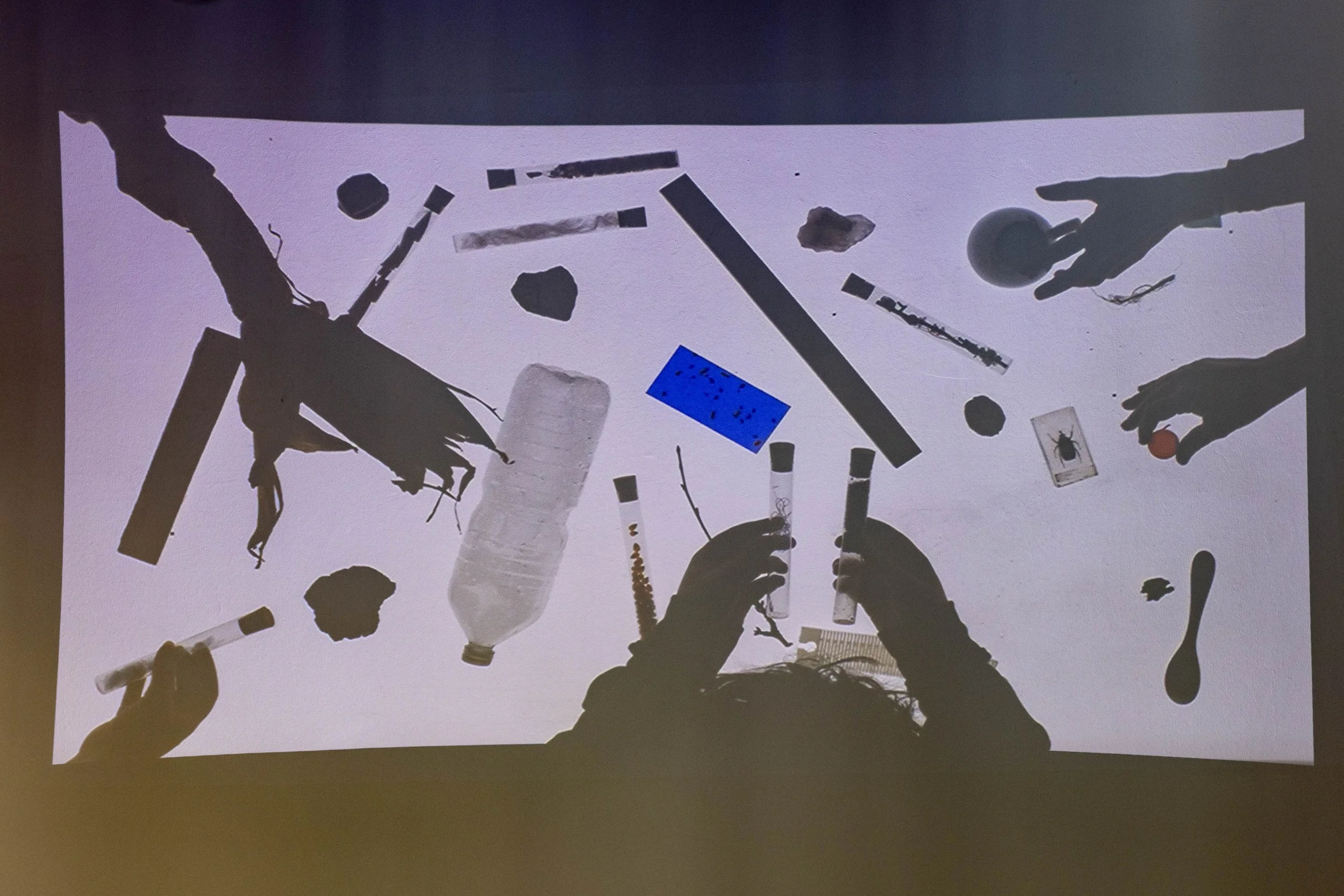 Workshop "Circularity" with Ronja Grossar © eSeL.at - Lorenz Seidler