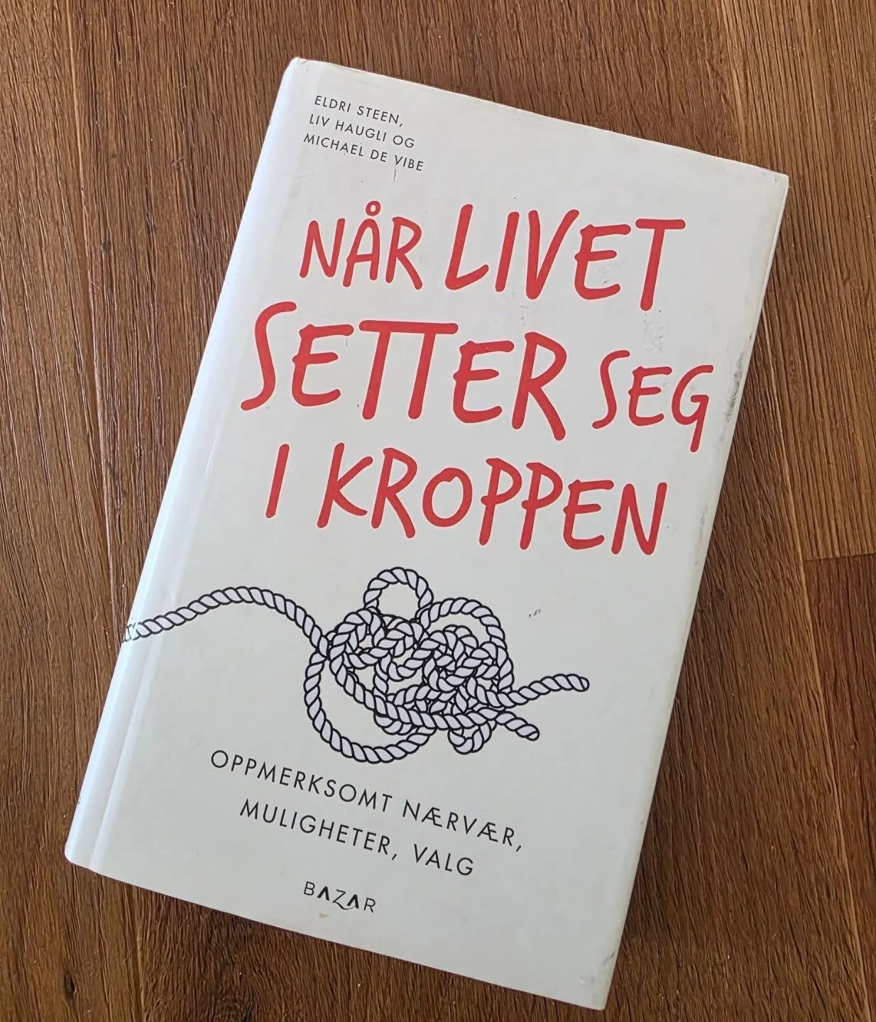 "N&aring;r livet setter seg i kroppen" er en grundig innf&oslash;ring i hvordan kurs i livsstyrketrening er bygget sammen og kan fungere i praksis den er skrevet av grunnleggerene av kurset, som f&oslash;rte til h&oslash;yskoleutdanning som