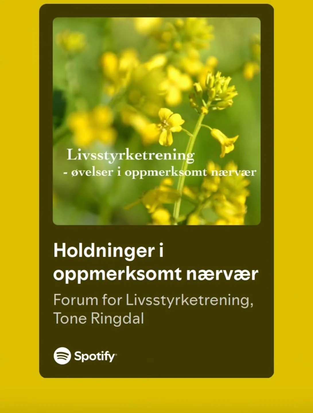 Du finner flere n&aelig;rv&aelig;rs&oslash;velser fra Livsstyrketrening p&aring; Spotify.

#livsstyrketrening 
#oppmerksomtn&aelig;rv&aelig;r
#selvmedf&oslash;lelse