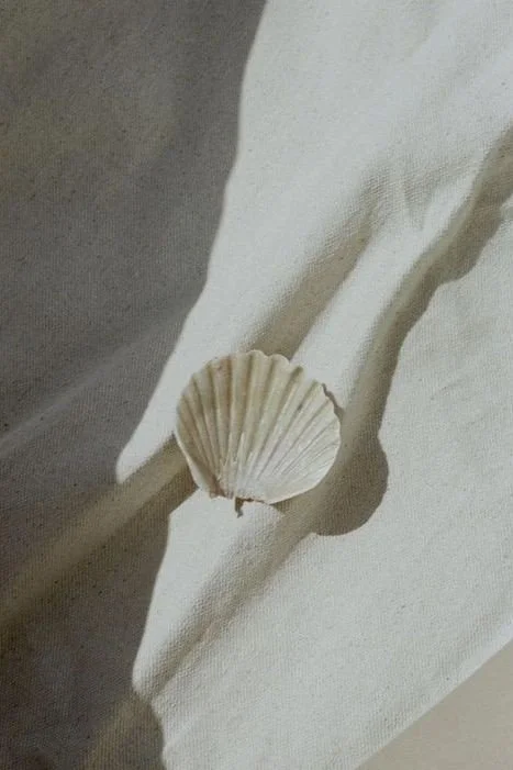 weiße Muschel auf weißem leinen Tischtuch