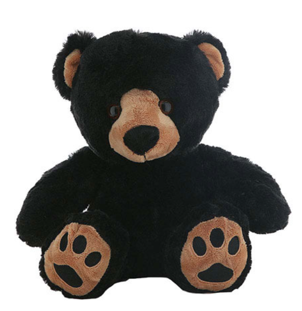 Benjamin the Black Bear
