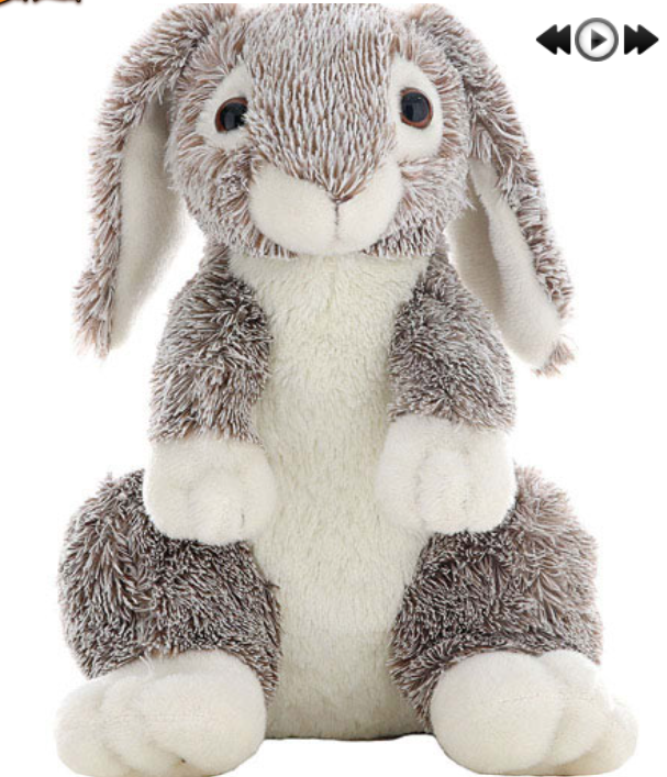 Forest the Happy Bunny