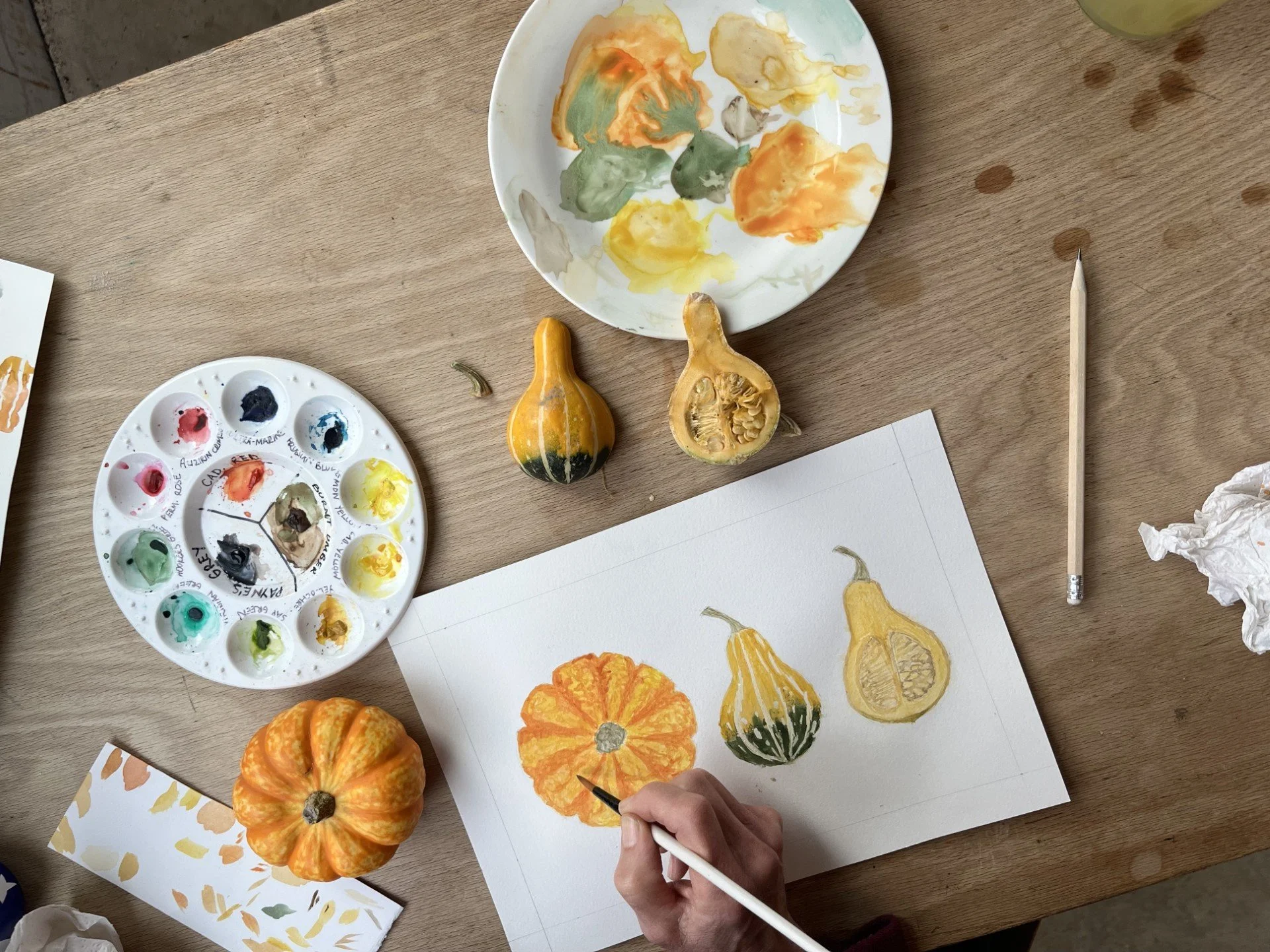 cut squash.jpg