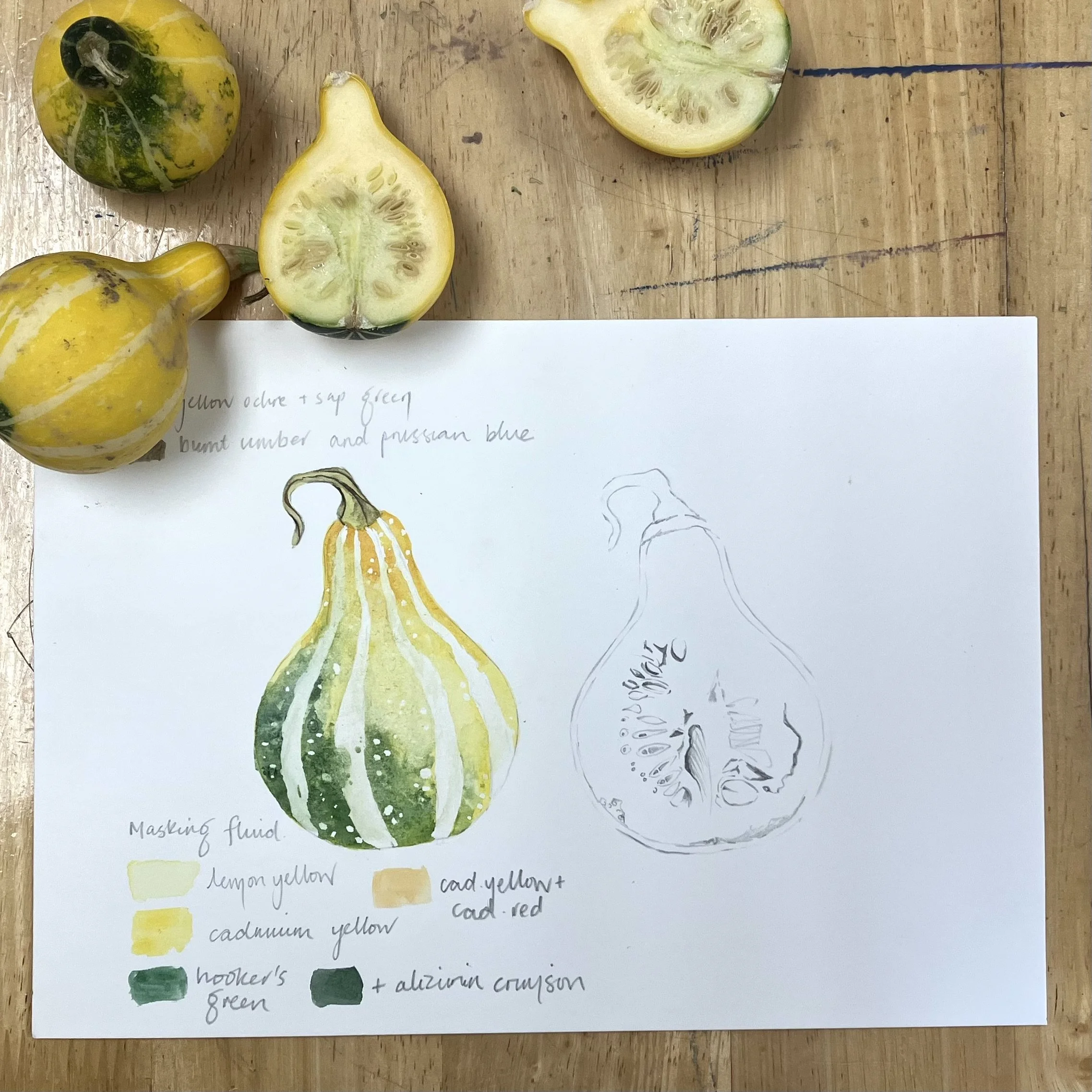 gourd .jpg
