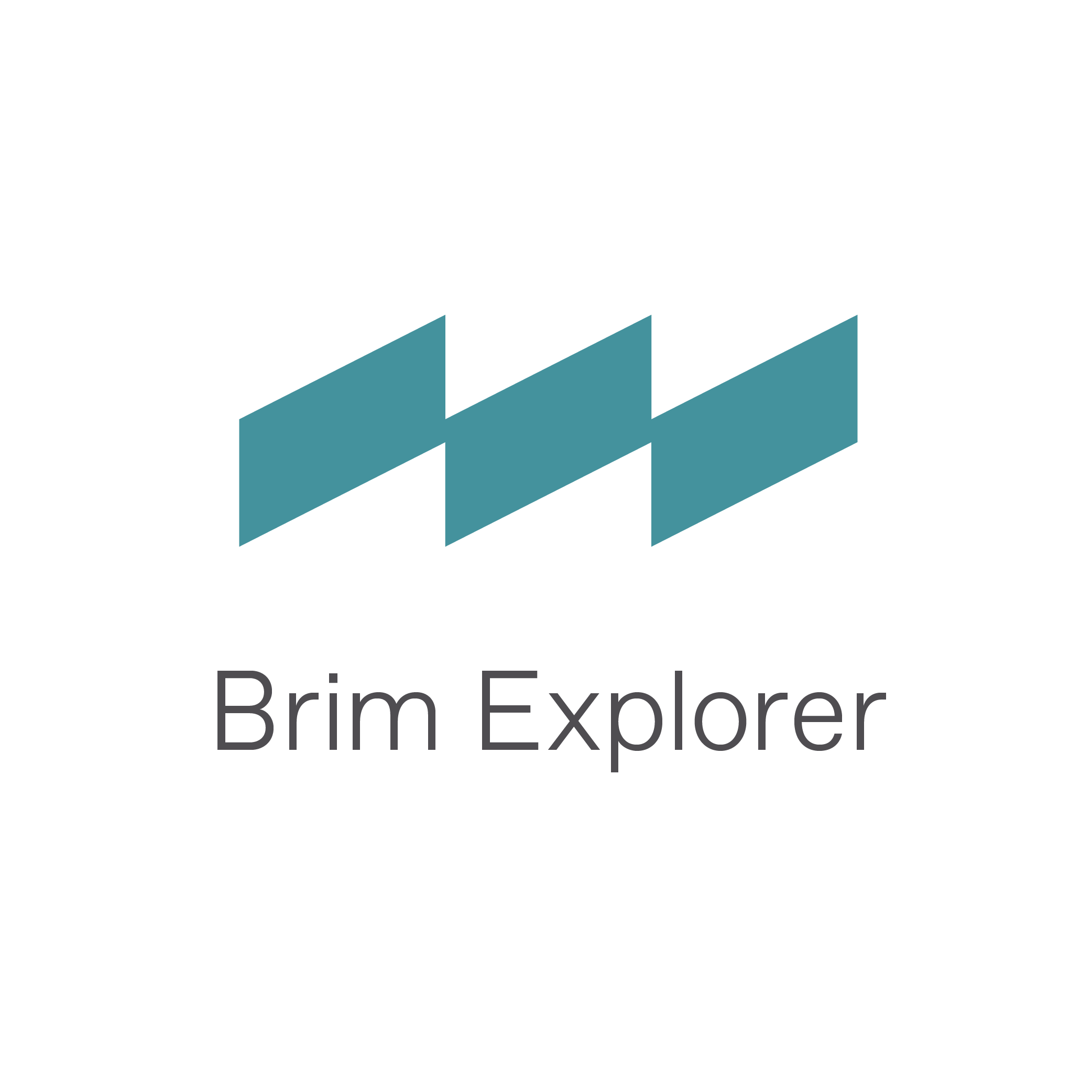 Brim+Explorer+logo.png