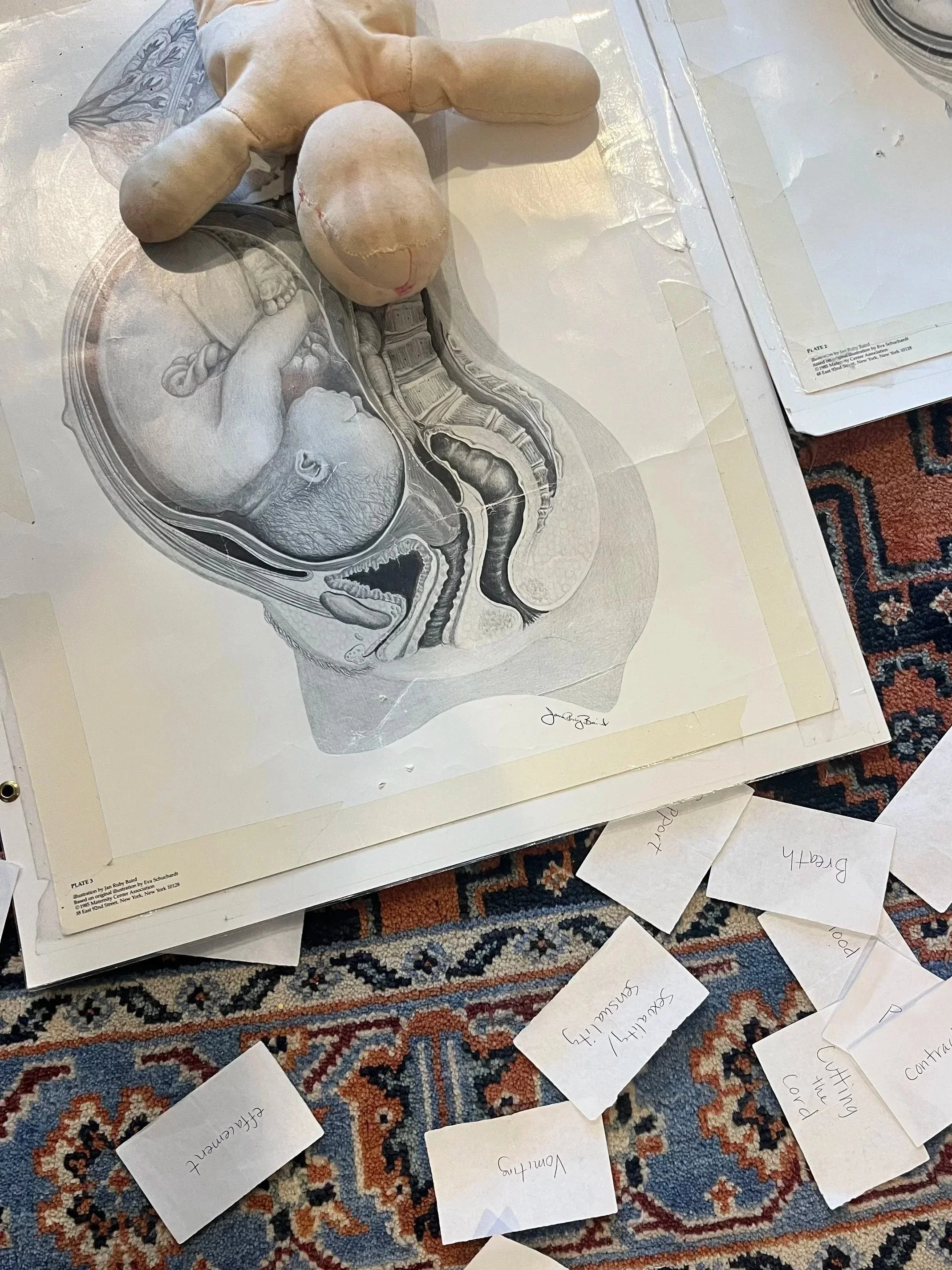 A vintage anatomical illustration of a fetus inside the womb with a small toy doll resting on top of it. The illustration is on a large sheet of paper, surrounded by scattered labels with handwritten notes, on a patterned carpet.