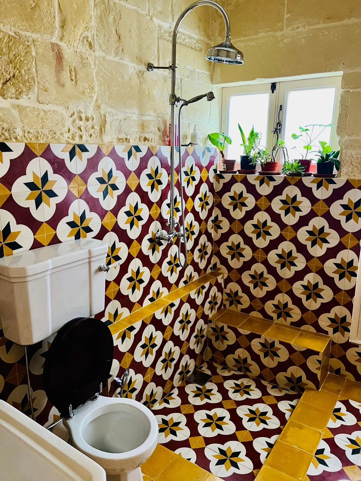 Bathroom with patterned tile walls and floor, a showerhead, a small window with plants, and a toilet.