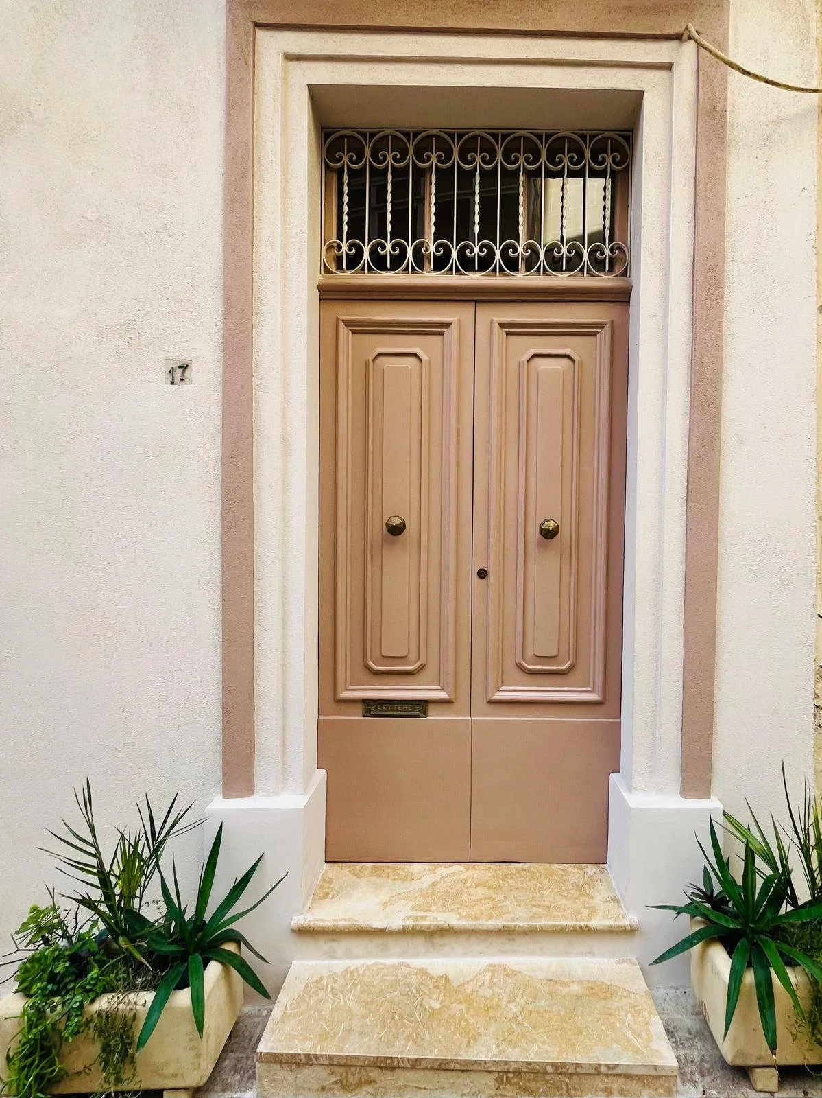 A wooden front door with ornate relief panels and brass doorknobs, topped with a barred window, set in a pink and white wall with plants in white planters on either side and a stone step in front.