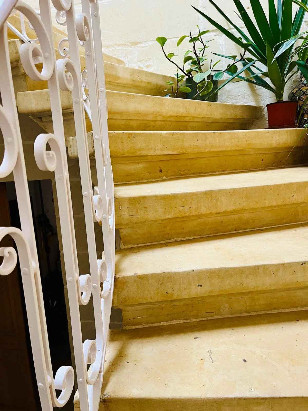 Wooden stairs with potted plants at the top and a white decorative railing on the side.