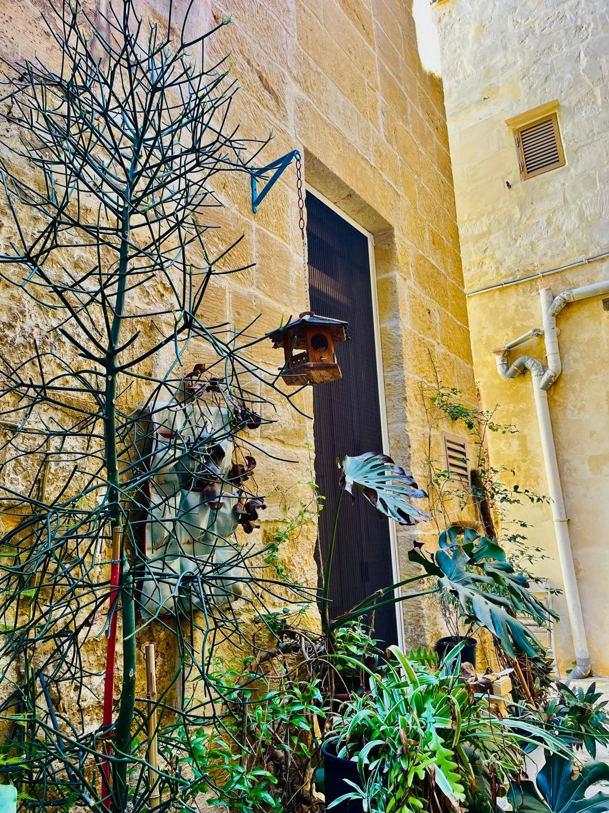 A small wooden birdhouse hanging outside on a yellow stone wall, with various plants growing below and beside it, and a narrow window with a dark screen behind.