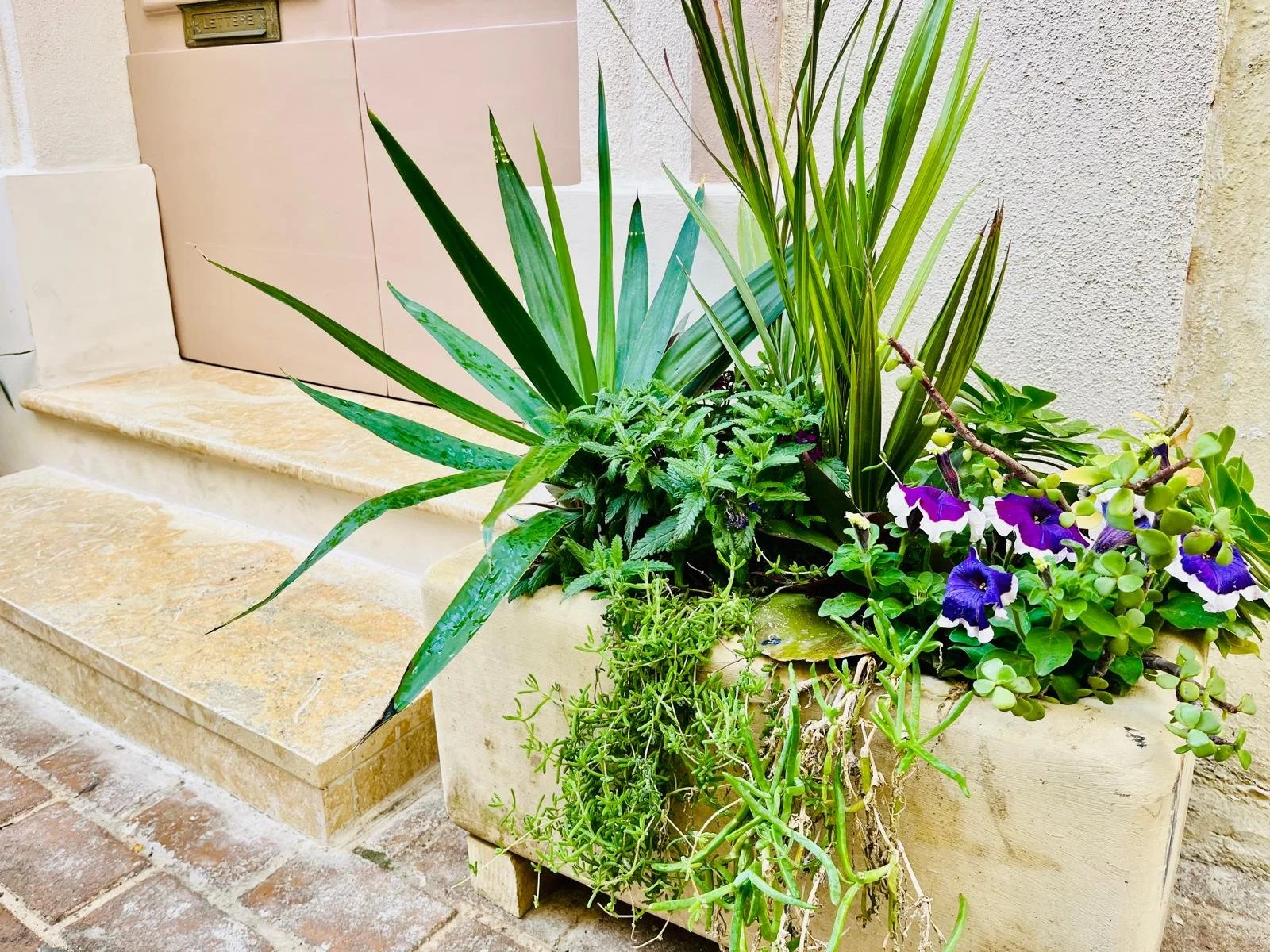 A large rectangular planter filled with various green plants and flowers, situated on a brick and stone surface next to a beige wall with steps.