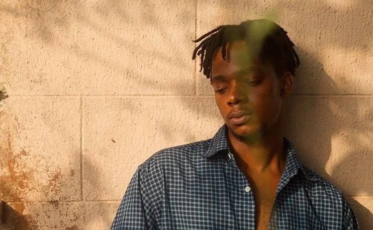 Edozie Anedu, famous African painter of Contemporary African Art