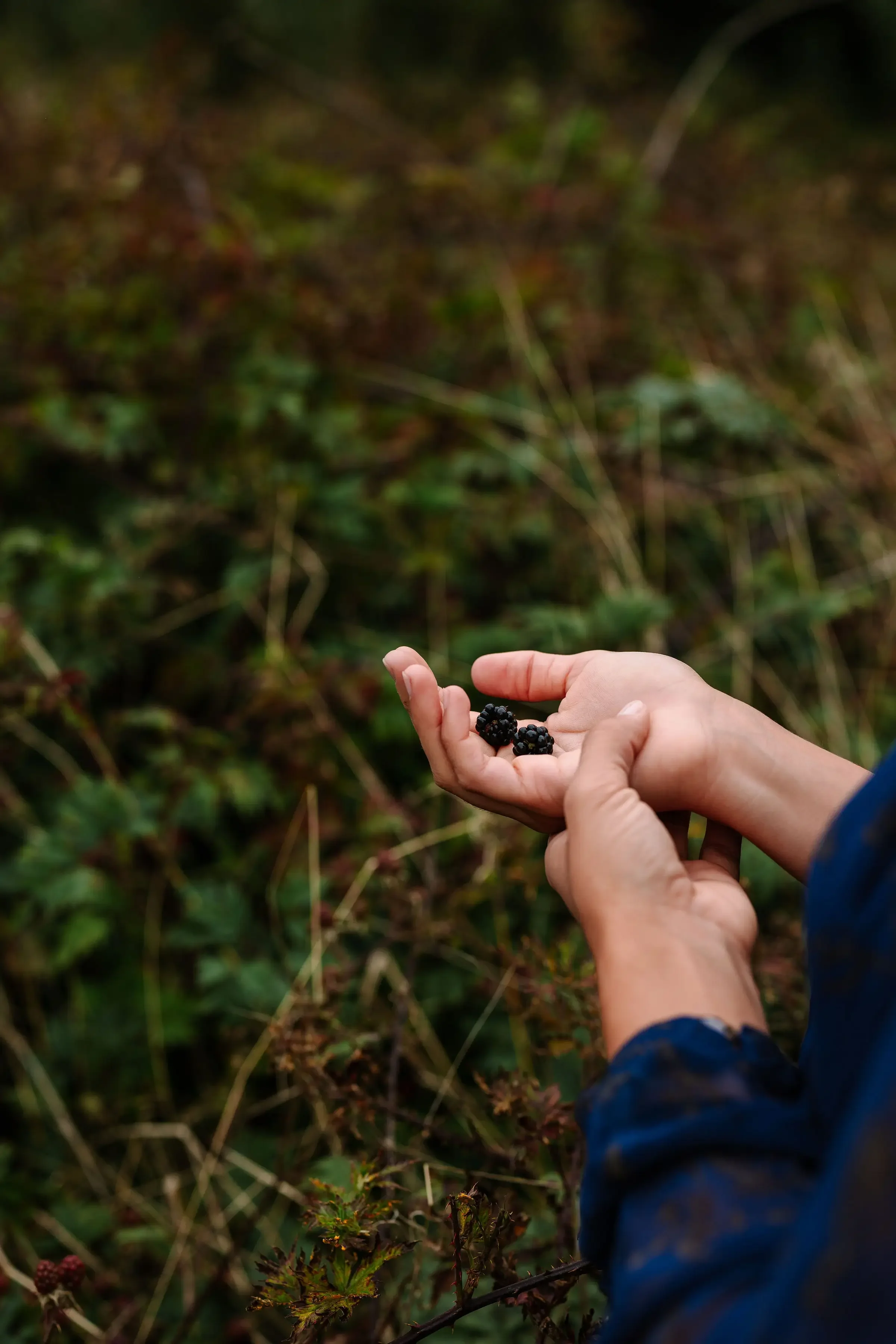 Grief, Gratitude, and the Power of Community