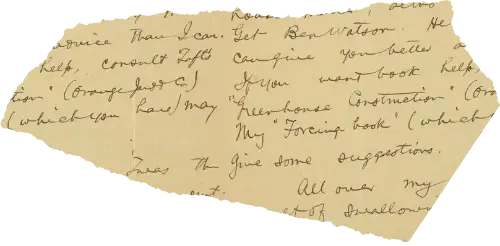 Close-up of handwritten letter on yellow paper, partially torn, with cursive writing in black ink.
