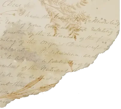 Close-up of aged, torn handwritten letter on paper with decorative floral border.