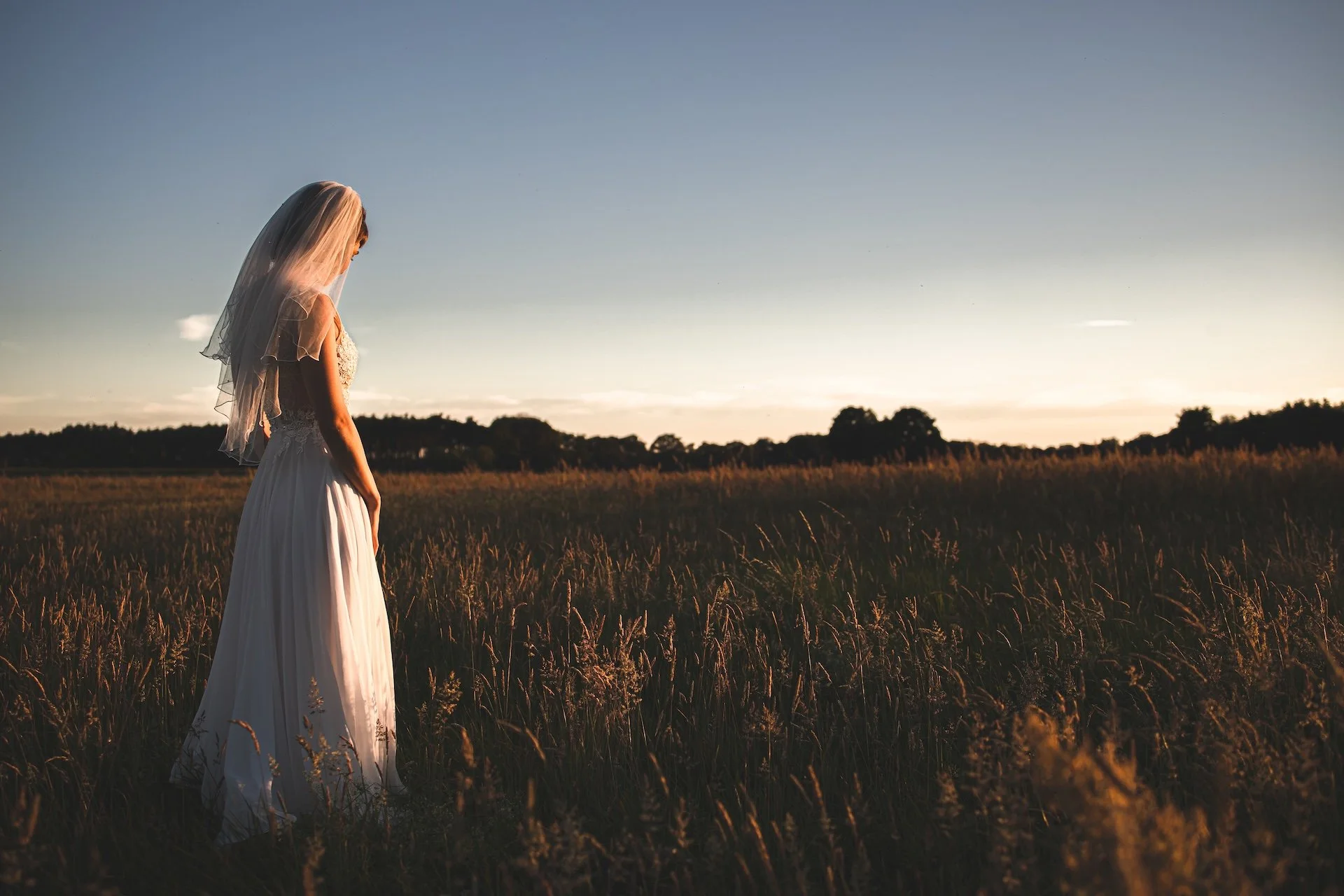 STUDIO CLAUSS_bride in cornfields.jpg