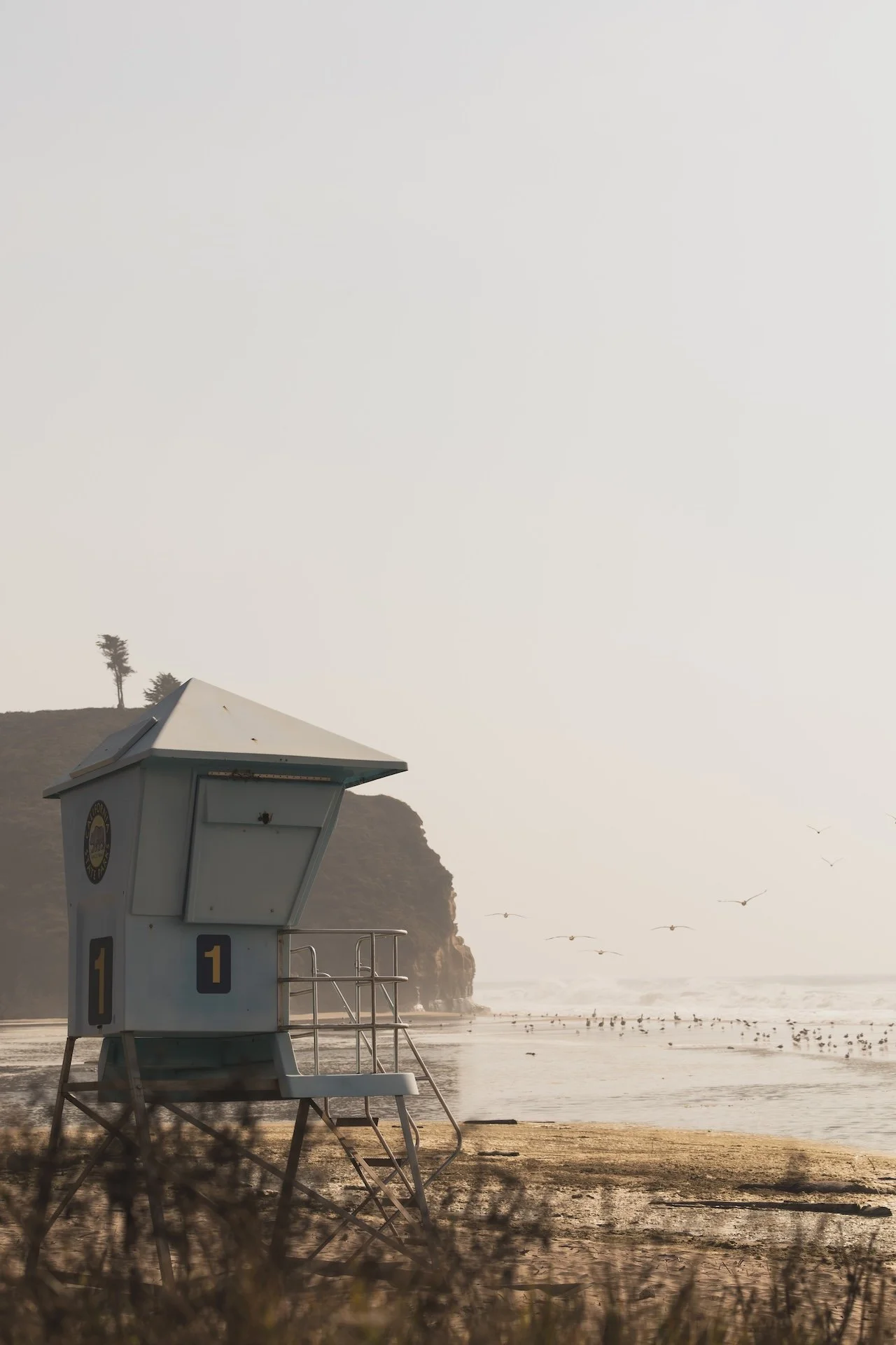 STUDIO CLAUSS_beach vibes-3971.JPG