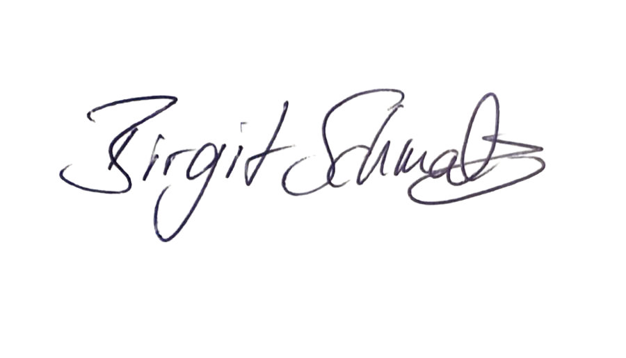 Stylized logo with the words "Liquid School" in cursive script.