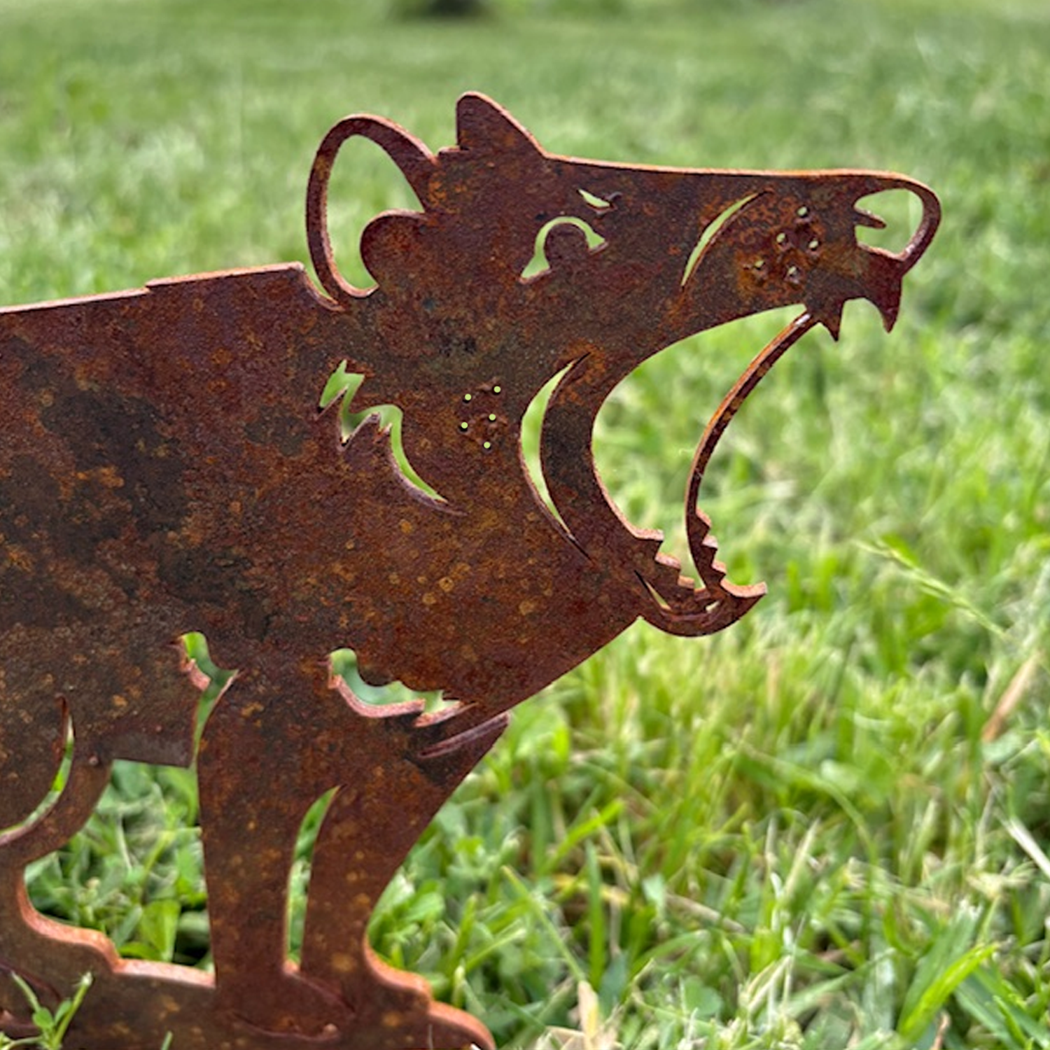 Rusty metal sculpture of a howling Tasmanian Devil with sharp teeth, set outdoors on green grass.